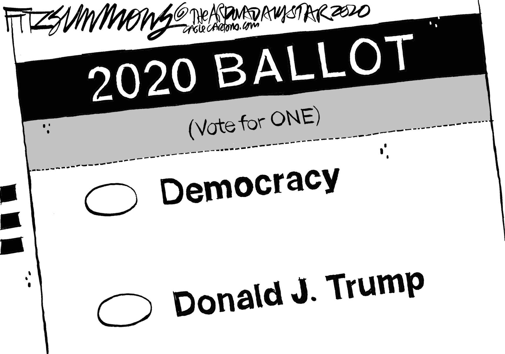 Daily Fitz Cartoon: On your ballot
